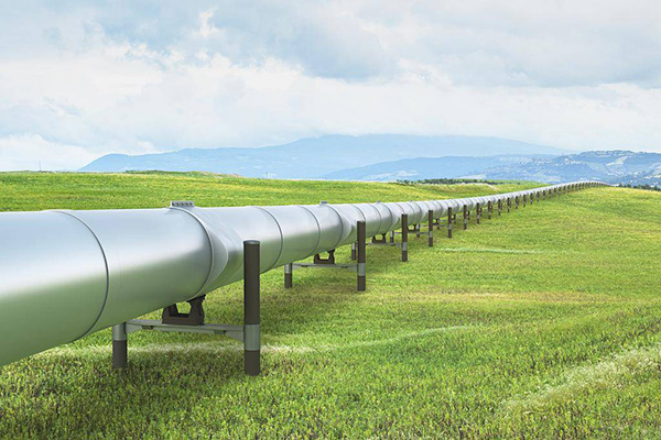 PP����(�й���½)�ٷ���վ