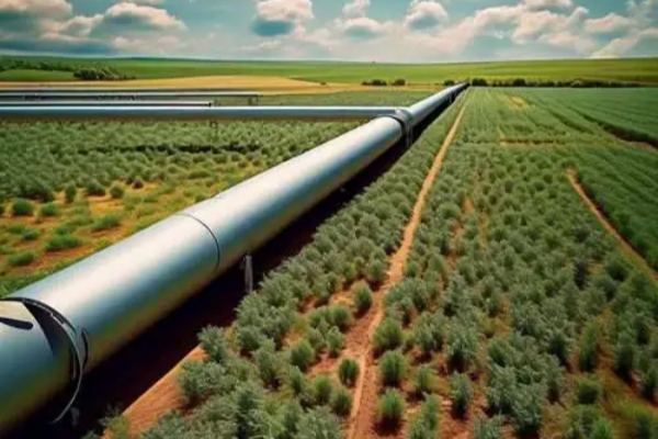 PP����(�й���½)�ٷ���վ