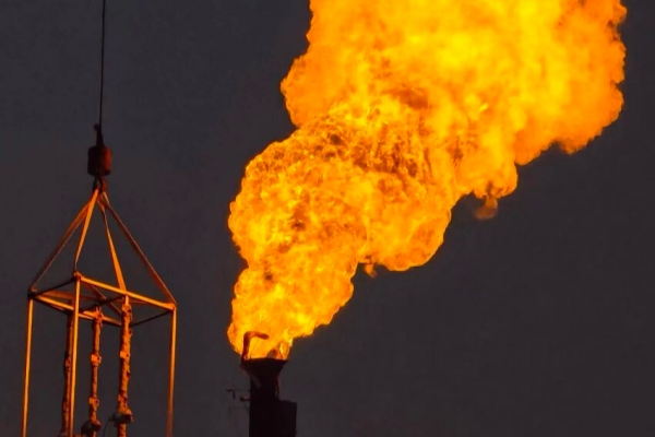 PP����(�й���½)�ٷ���վ